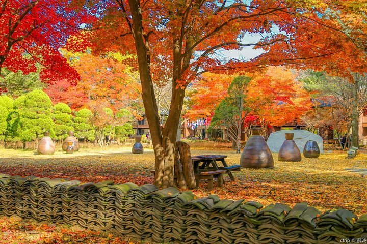 Tripadvisor Private Reise nach Nami Island, dem Garten der