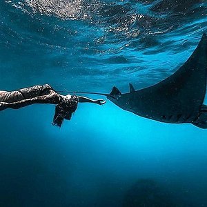 Adventure Scuba Diving Bali - All You Need to Know BEFORE You Go (2024)
