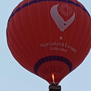 grote viervoetige rij trek en lastdieren