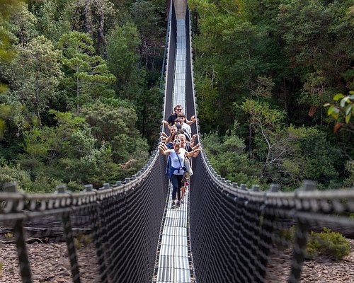 tours of tasmania