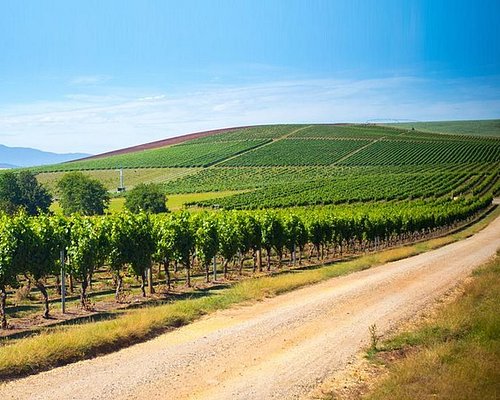 tamar valley wine tours reviews