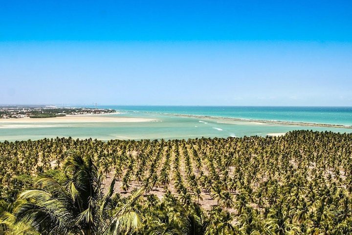 2024 Beaches Circuit: Frances Beach, Barra de Sao Miguel and Gunga ...