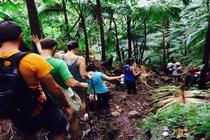 2024 Hiking Mount Liamuiga Volcano in St Kitts