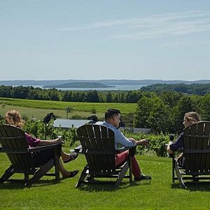traverse city wine and beer tours reviews