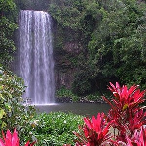 Beautiful Stoney Creek - Picture of Stoney Creek Falls, Cairns - Tripadvisor