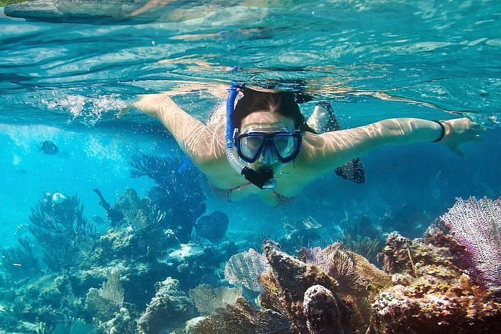 2023 Cozumel Snorkeling Tour: Palancar, Columbia and Cielo Reefs