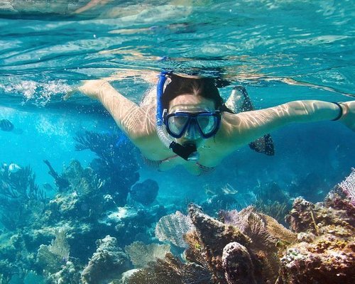 THE 10 BEST Cozumel Scuba Diving & Snorkeling (Updated 2023)