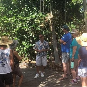 21年 ハワイ島で絶対外さないおすすめ観光スポットトップ10 定番から穴場まで トリップアドバイザー