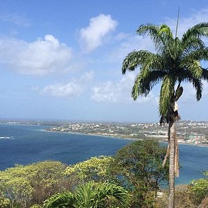 THE BEST Things to Do in Tobago - 2023 (with Photos) - Tripadvisor