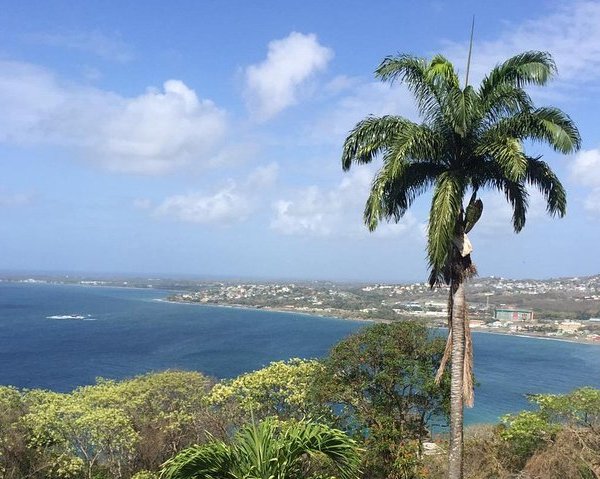 Tobago Forest Reserve - All You Need to Know BEFORE You Go