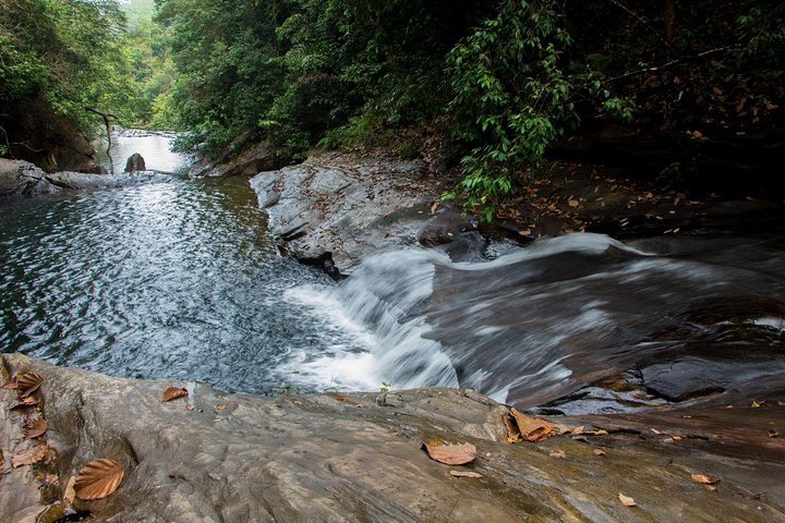 2024 (Kandy) Adventure Hunting Provided By Tour Srilanka Travel