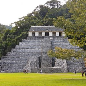 JUNGLE PALACE (PALENQUE, MÉXICO): 57 fotos e avaliações - Tripadvisor