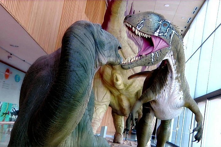 Ruta de los Dinosaurios y Museo de Paleontología - Regreso al Cretácico ofrecido por Tempus Cuenca | Cuenca, España - Tripadvisor Ruta de los Dinosaurios y Museo de Paleontología - Regreso al Cretácico ofrecido por Tempus Cuenca | Cuenca, España - Tripadvisor