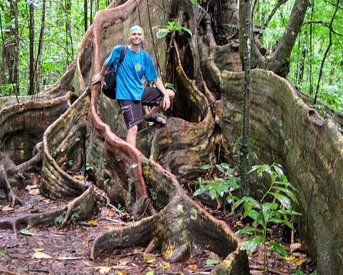 st vincent island tour