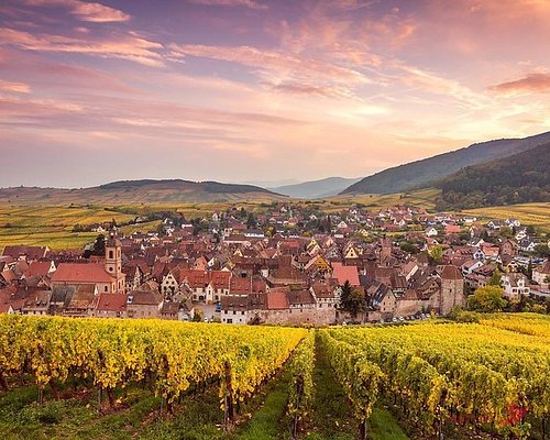 best wine tours in alsace