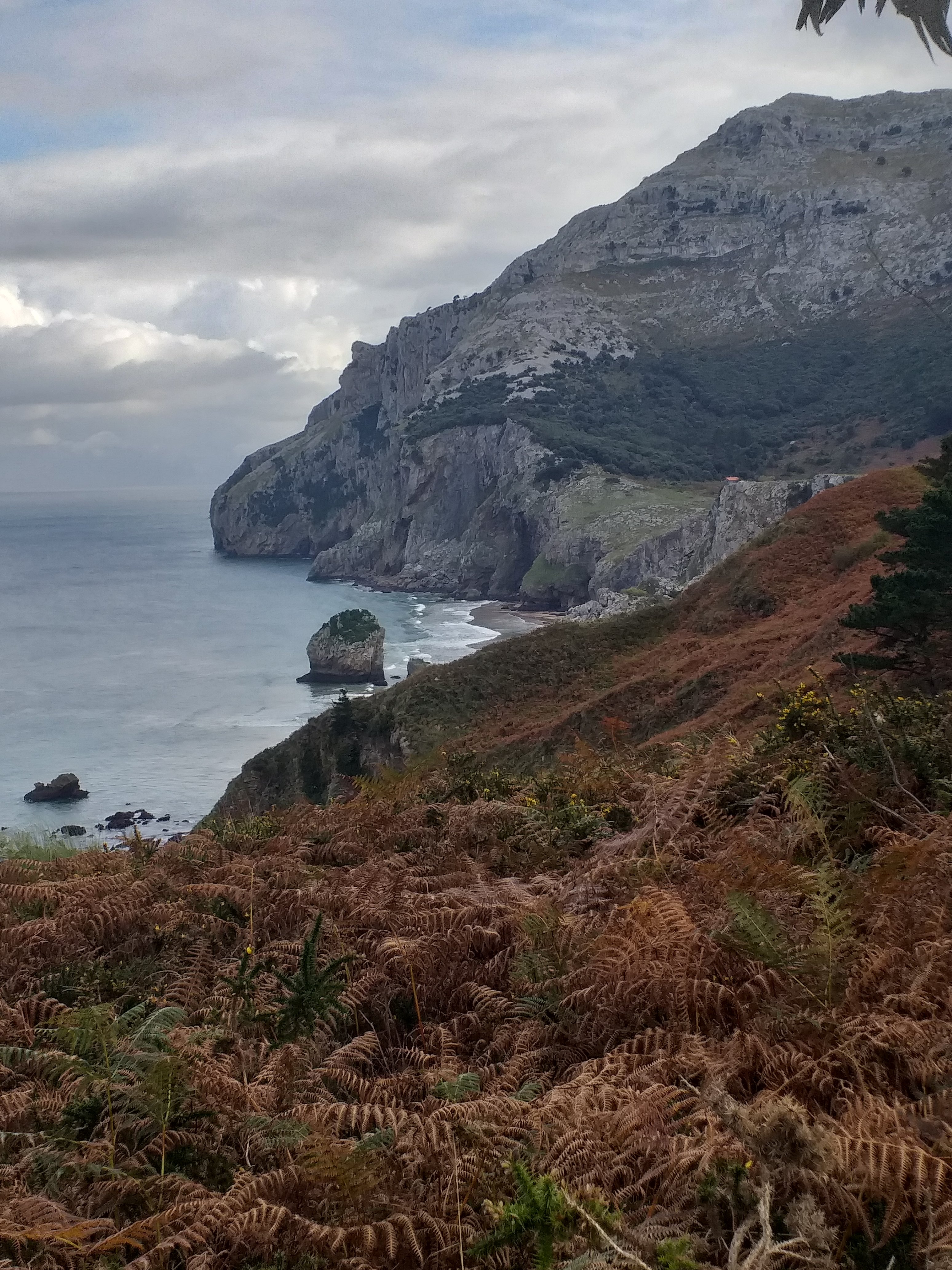 GITE D'ETAPE LES VOLETS BLEUS (Decazeville, Francia) - Opiniones Y ...