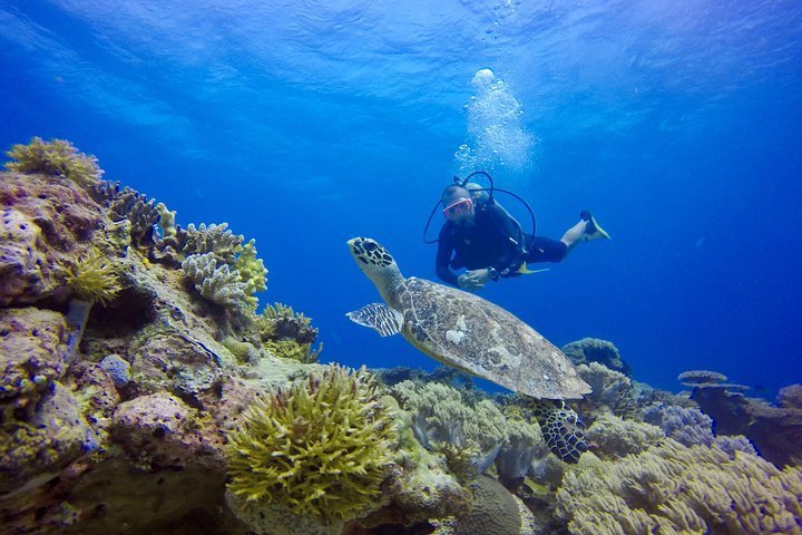 2023 kota kinabalu Mantanani Island Snorkeling\Discover Scuba Diving ...