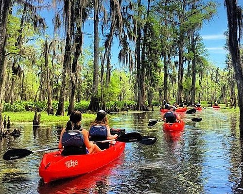 louisiana swamp fishing trips