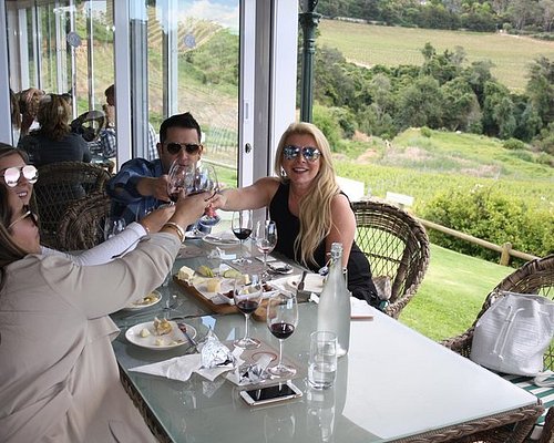 wine tours south africa cape town