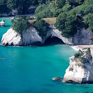 THE 15 BEST Things to Do in Coromandel Peninsula - 2023 (with