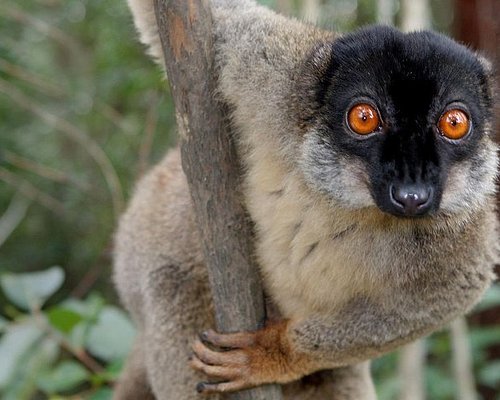 tour guide madagascar 2
