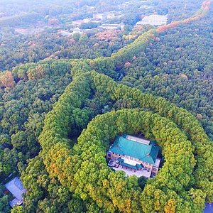 tempat wisata di nanjing china - Karen Ball