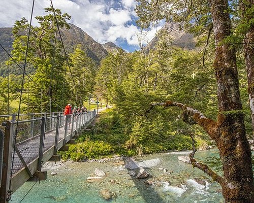 camping tours of new zealand