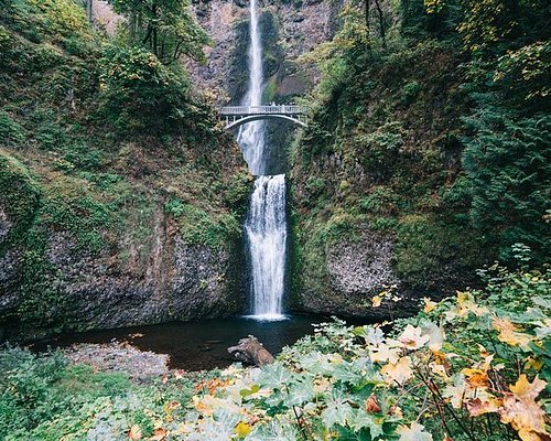THE 10 BEST Portland Nature & Wildlife - Tripadvisor