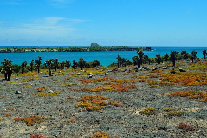 THE 10 BEST Day Trips from Galapagos Islands UPDATED 2024