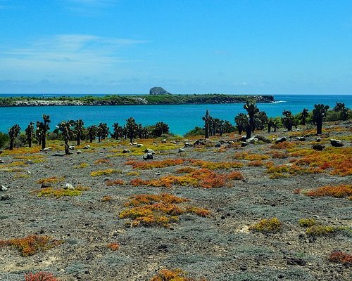 galapagos island day trips