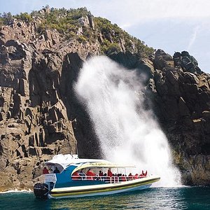 huon river cruise tasmania