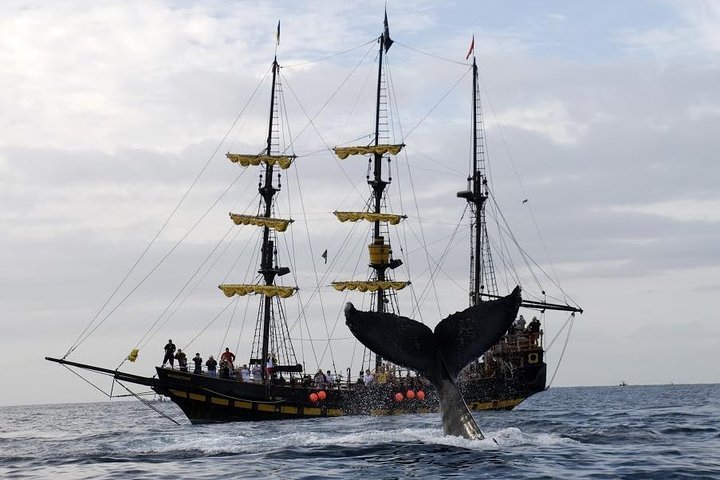 Just don't call it a pirate ship