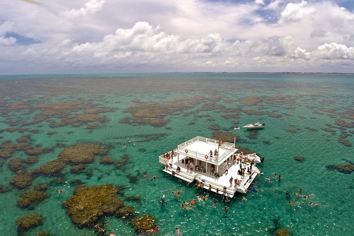 2023 Maracajau from Natal provided by Gray Line Natal - Tripadvisor