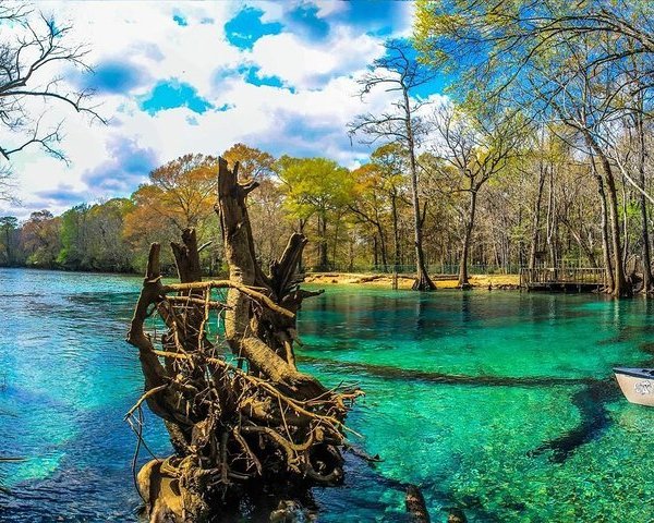 Gator Country Alligator Park (Panama City Beach) - All You Need to Know ...