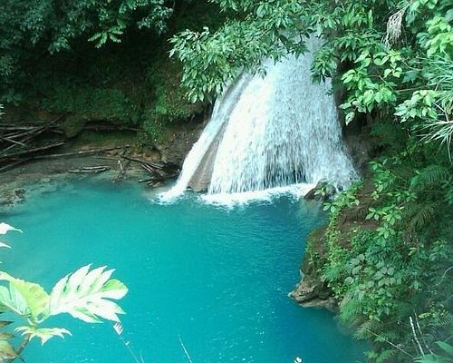 guided tours jamaica