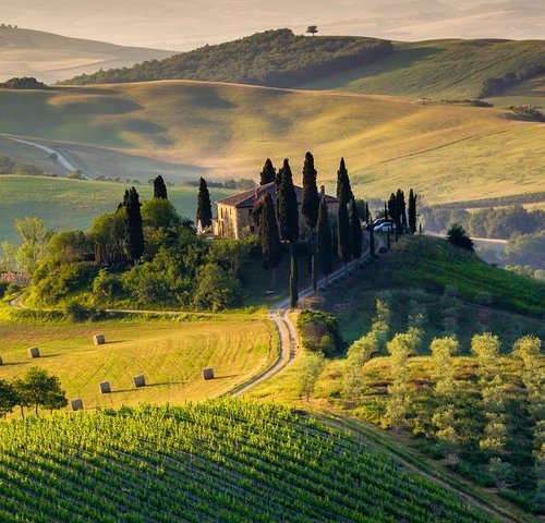 THE 15 BEST Things to Do in Florence - UPDATED 2022 - Must See ...