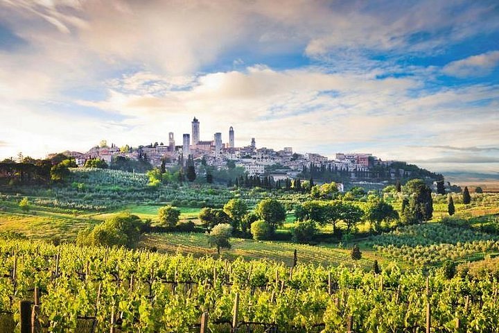 The 10 Best Tuscany Wine Tours And Tastings With Photos 8406