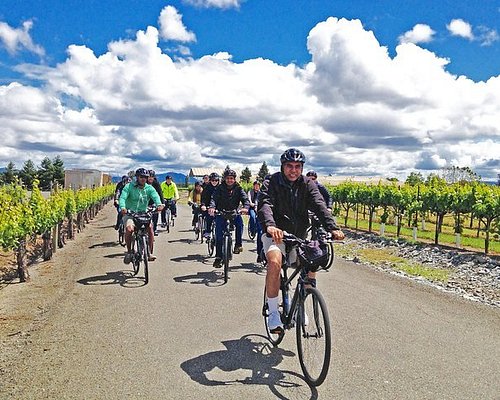 bike tours sonoma