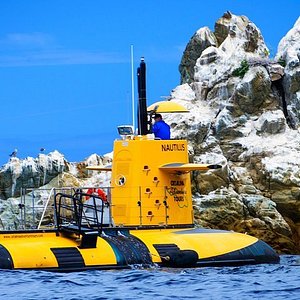 catalina island undersea sub expedition tours