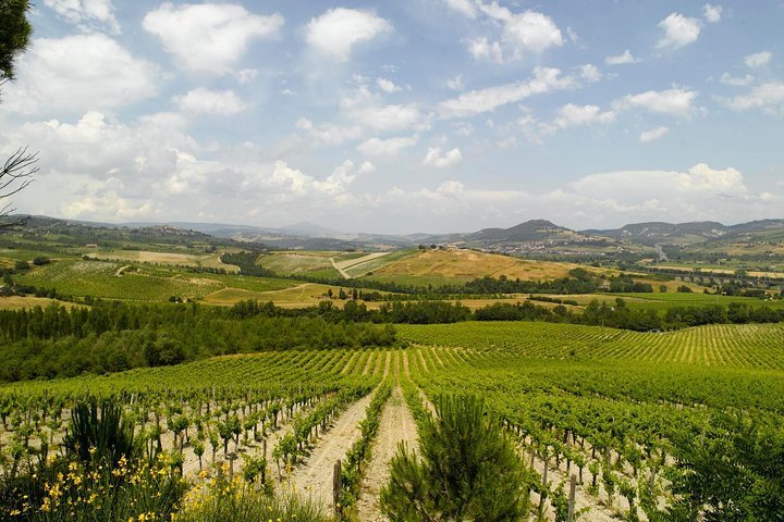 2024 Orvieto & Countryside plus Wine & Oil Tasting from Civitavecchia