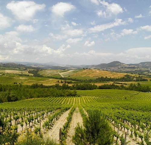 THE 15 BEST Things to Do in Orvieto - 2022 (with Photos) - Tripadvisor