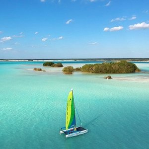 bacalar