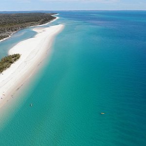THE 15 BEST Things to Do in Hervey Bay - 2022 (with Photos) - Tripadvisor