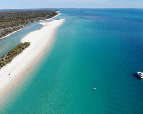 fraser island tour book