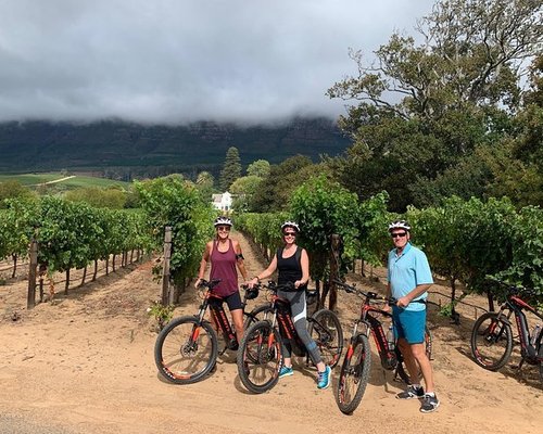 THE 10 BEST Cape Town Bike Tours (with Photos) - Tripadvisor