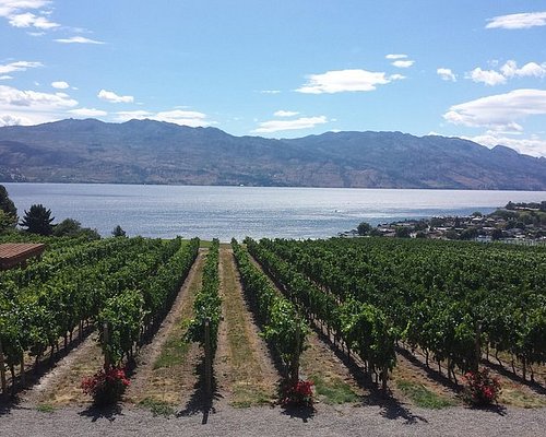 okanagan valley wine tour packages