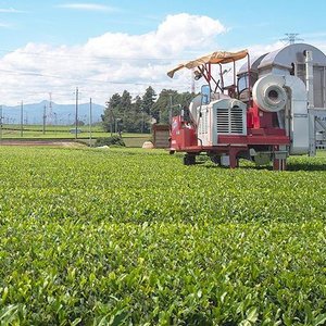 22年 所沢市で絶対外さないおすすめ観光スポットトップ10 定番から穴場まで トリップアドバイザー