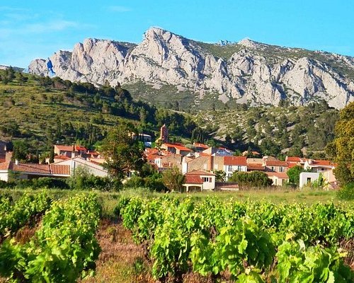 languedoc wine tours