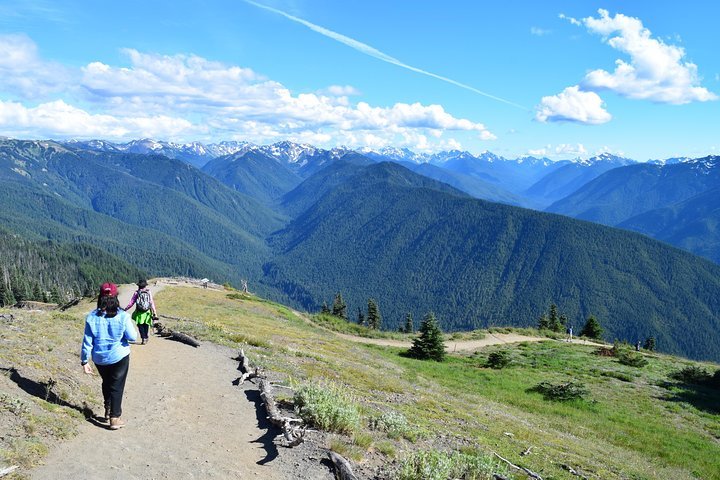 High ridge trail olympic national park hotsell