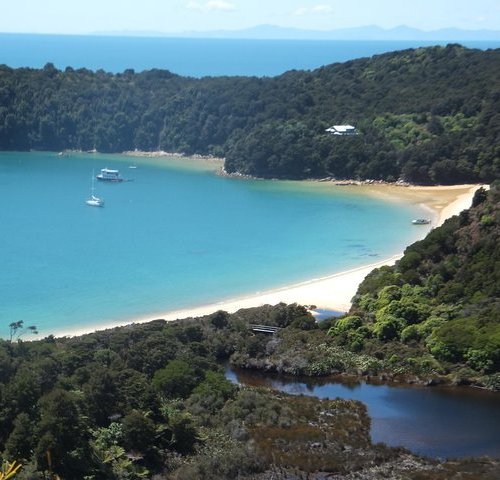 THE 15 BEST Things to Do in Nelson - 2022 (with Photos) - Tripadvisor